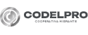Codelpro